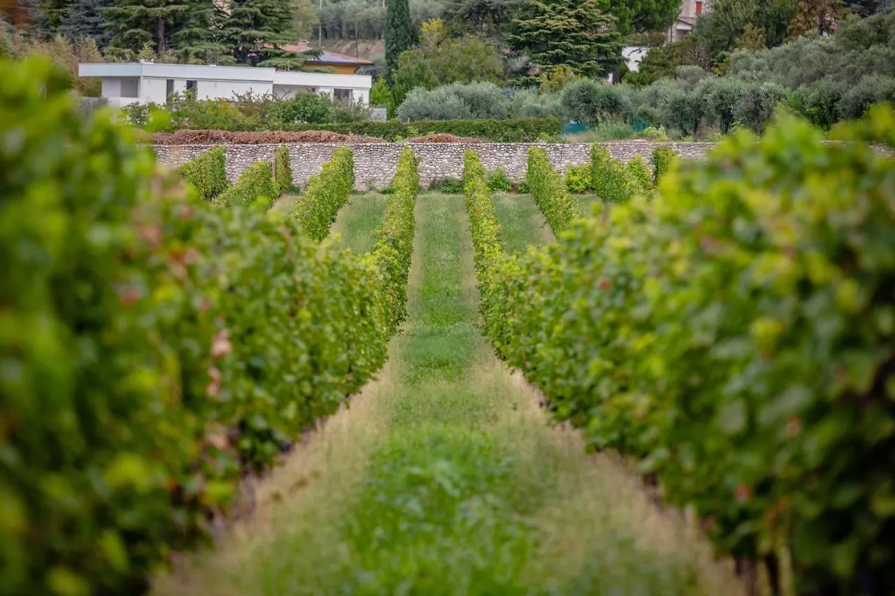 Agriturismo Borgata Levita Bardolino